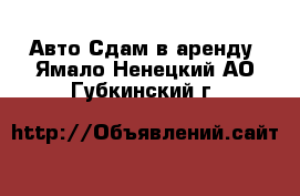 Авто Сдам в аренду. Ямало-Ненецкий АО,Губкинский г.